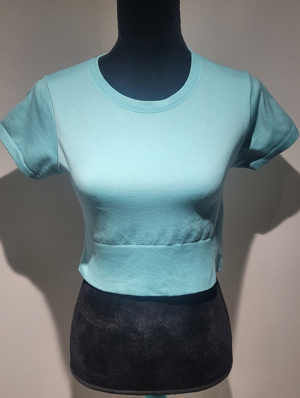 OFFLINE by Aerie Women's Sidewalk Seamless Cropped Athleisure TShirt Medium Blue